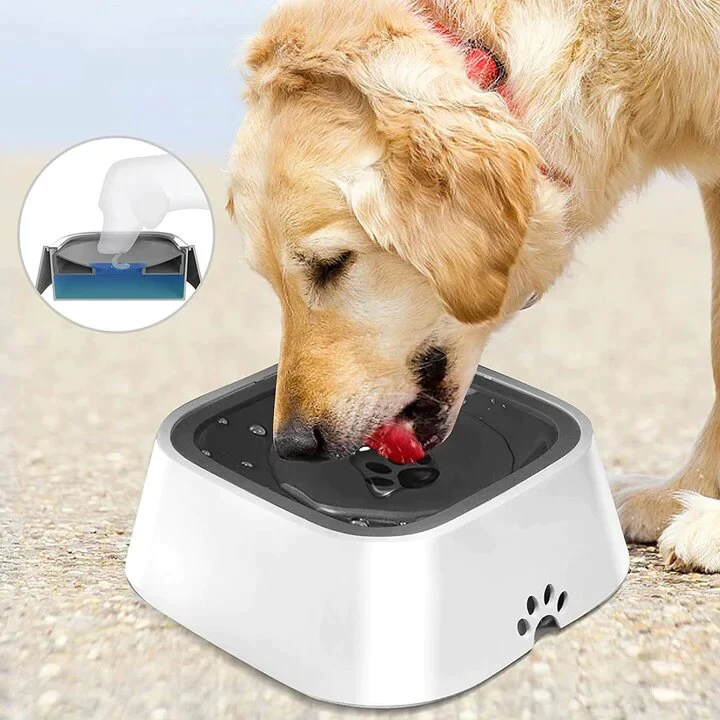 Cuenco Antiderrame Para Perros Y Gatos | Central Mascotas Chile