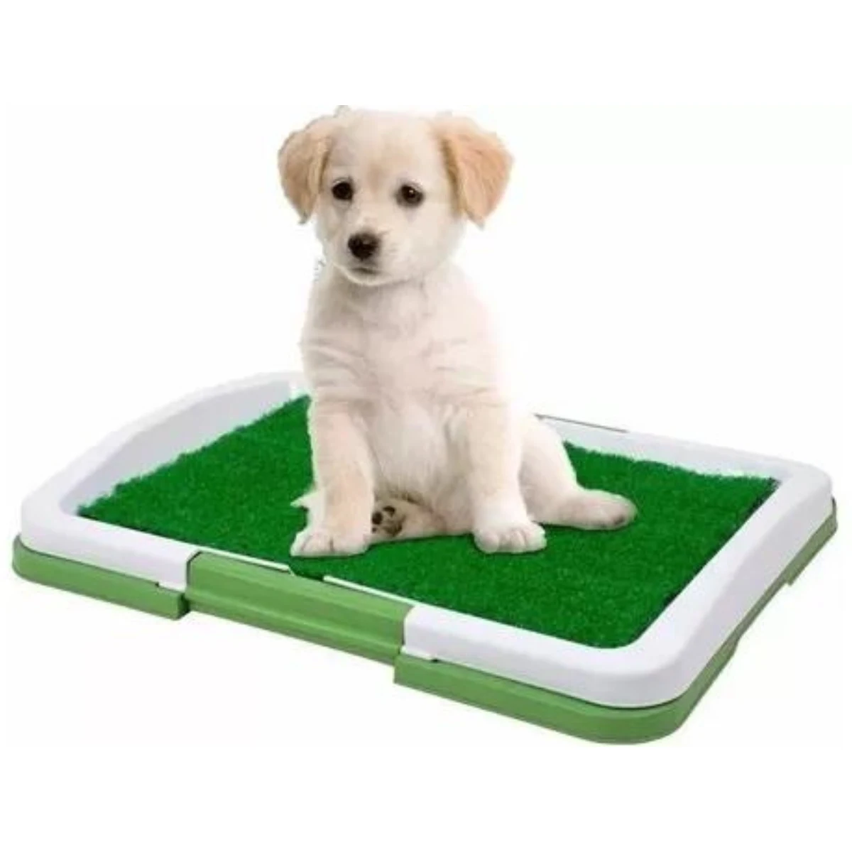 Tapete De Limpieza Para Perros Pequeños | Central Mascotas Chile