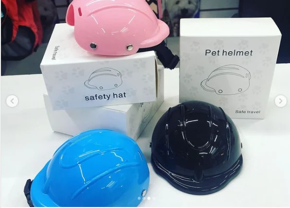 Casco Y Correa Protector Para Perros | Central Mascotas Chile