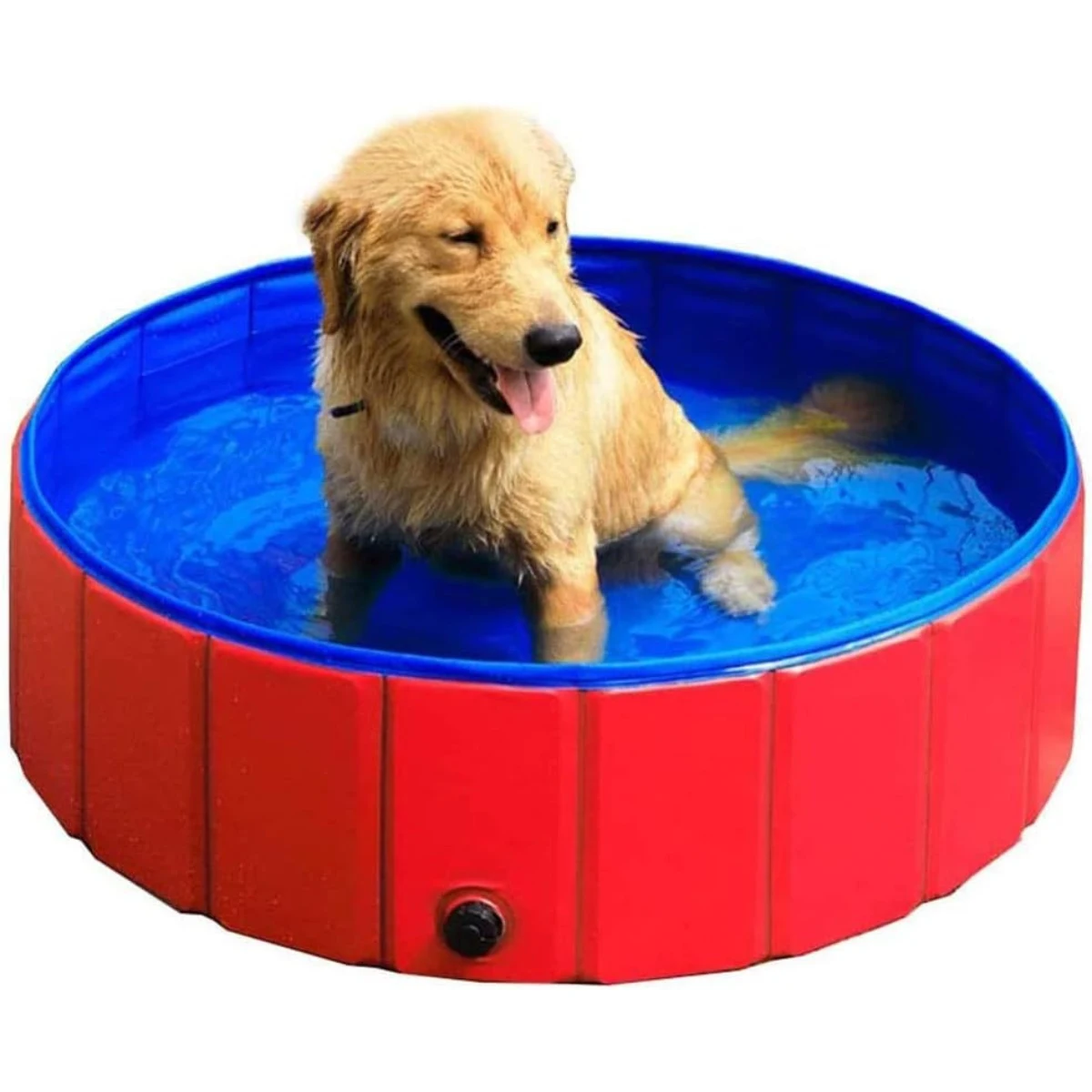 Piscina Plegable Para Mascotas 80x20 Cm | Central Mascotas Chile