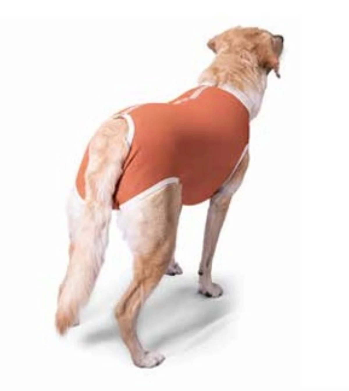 Body Cobre Castración Perros Talla 5 | Central Mascotas Chile