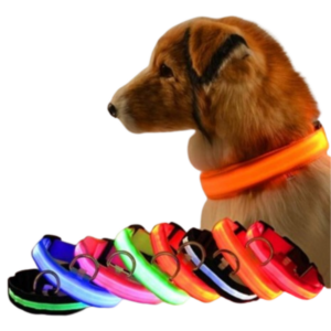 Perro raza Golden Retriever caminando de noche por una calle iluminada únicamente por el collar LED verde